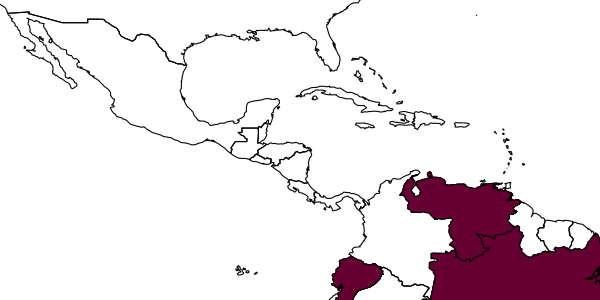map of Neralsia marioi     Jiménez & Pujade-Villar, in Jiménez et al., 2006